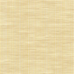 Grille Veil